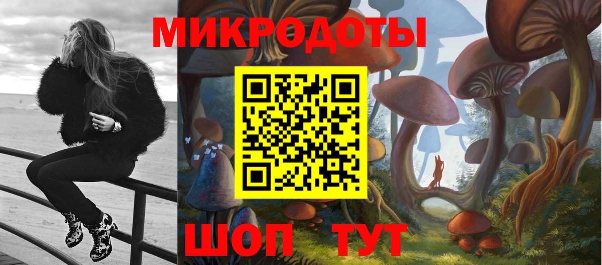 Псилоцибиновые грибы Psilocybe Красноуфимск